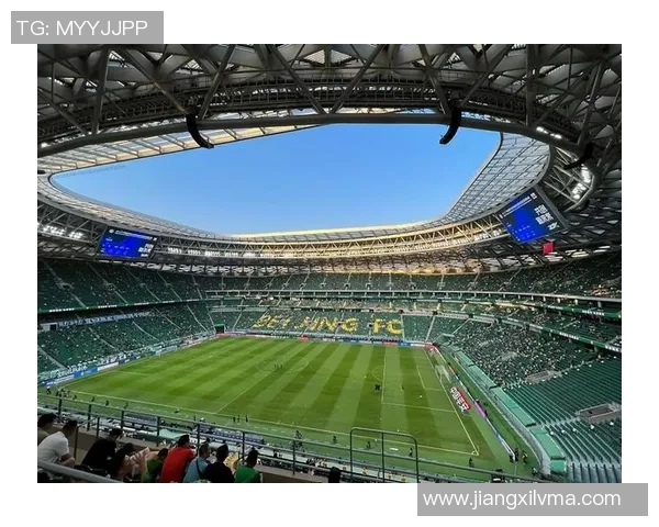 超级足球明星的魅力与成就全解析，带你领略绿茵场上的传奇人生